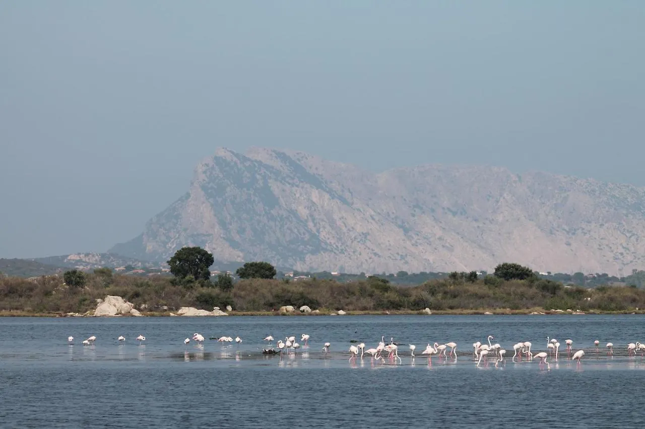Monolocale Belvedere San Teodoro  San Teodoro (Sardinia)